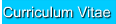 Curriculum